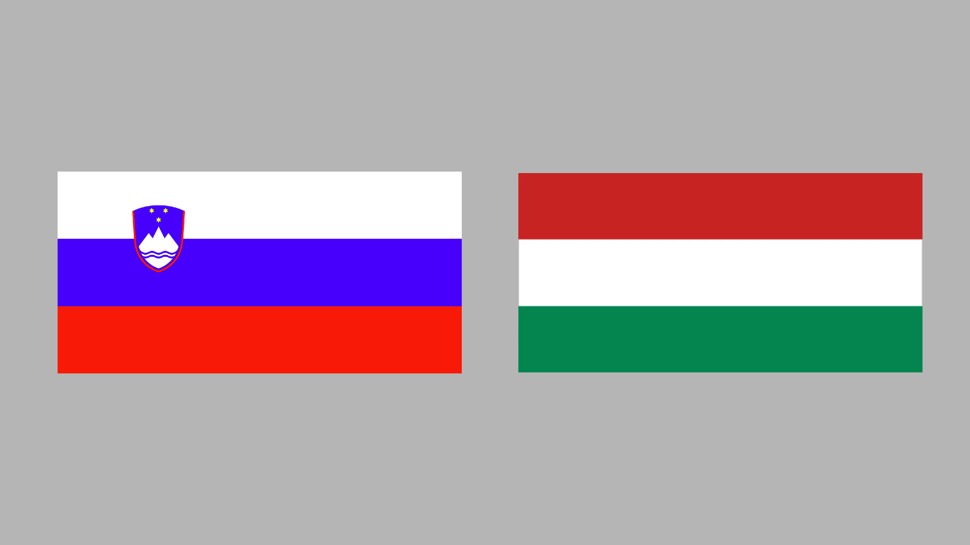Magyar-szlovén találkozó